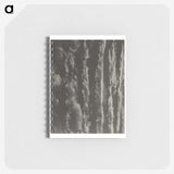 2-63_Alfred-Stieglitz_memo