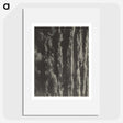 2-63_Alfred-Stieglitz_picture