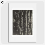2-63_Alfred-Stieglitz_picture