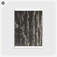 2-63_Alfred-Stieglitz_postcard