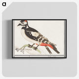 2-63_Anselmus-Boetius-de-Boodt_blk-crop