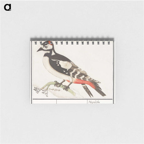 2-63_Anselmus-Boetius-de-Boodt_memo