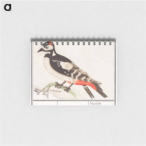 アートメモ帳-The great spotted woodpecker - アンセルムス ボエティウス デ ブート Memo.