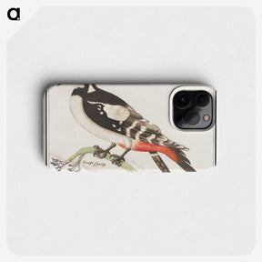 2-63_Anselmus-Boetius-de-Boodt_phone