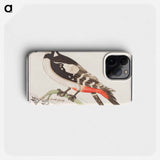 The great spotted woodpecker - アンセルムス ボエティウス デ ブート Phone Case.