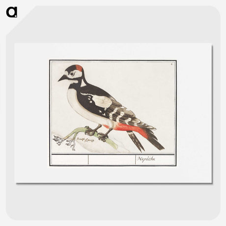 2-63_Anselmus-Boetius-de-Boodt_picture