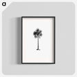 アートポスター-Palm Tree Engraving
 - 大英図書館 Poster.