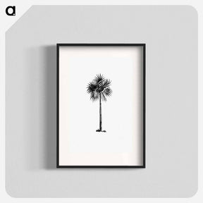 アートポスター-Palm Tree Engraving
 - 大英図書館 Poster.