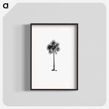 アートポスター-Palm Tree Engraving
 - 大英図書館 Poster.