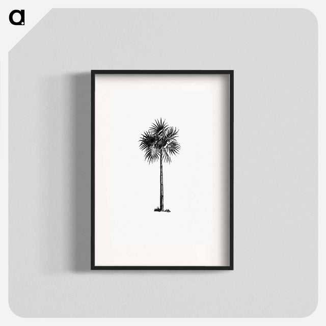 アートポスター-Palm Tree Engraving
 - 大英図書館 Poster.