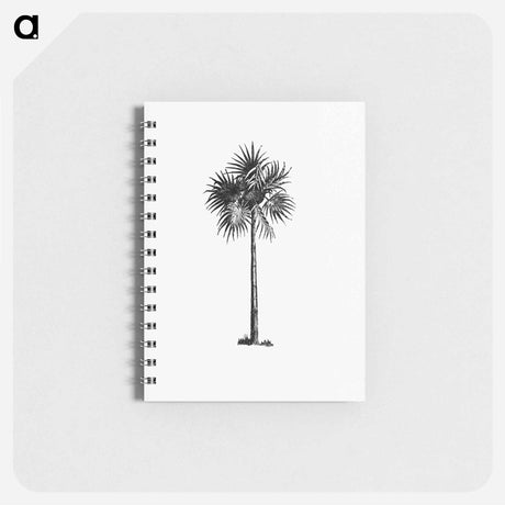 アートメモ帳-Palm Tree Engraving
 - 大英図書館 Memo.