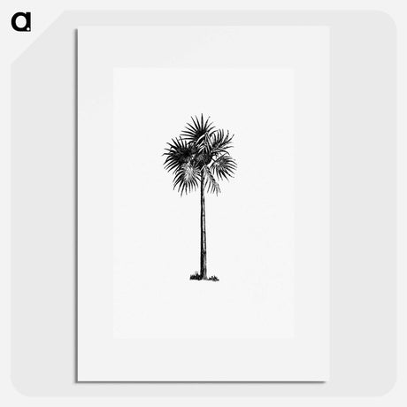 アートポスター-Palm Tree Engraving
 - 大英図書館 Poster.