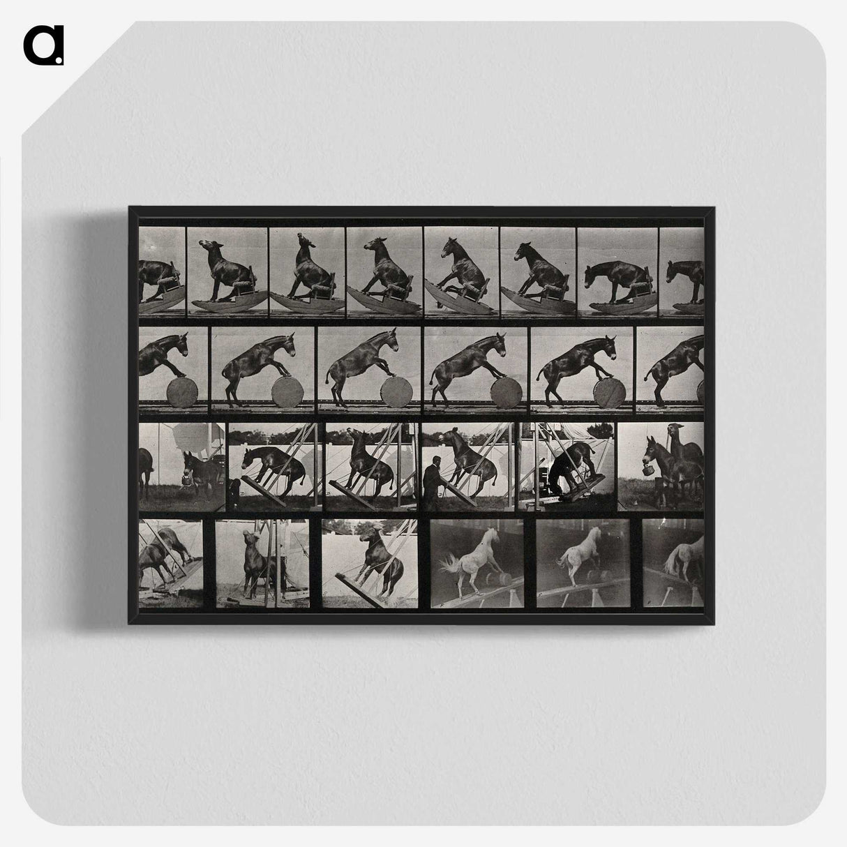 2-63_Eadweard-Muybridge_blk-crop
