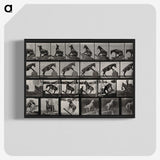 2-63_Eadweard-Muybridge_blk-crop