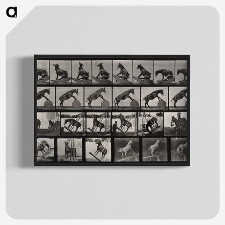 2-63_Eadweard-Muybridge_blk-crop