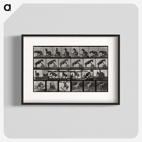2-63_Eadweard-Muybridge_blk