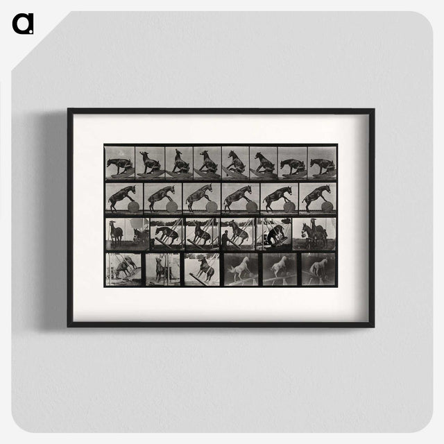 2-63_Eadweard-Muybridge_blk