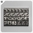 2-63_Eadweard-Muybridge_canvas