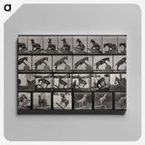 2-63_Eadweard-Muybridge_canvas