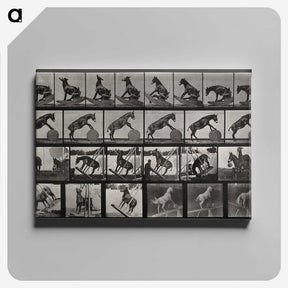 2-63_Eadweard-Muybridge_canvas