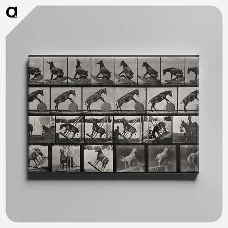 2-63_Eadweard-Muybridge_canvas