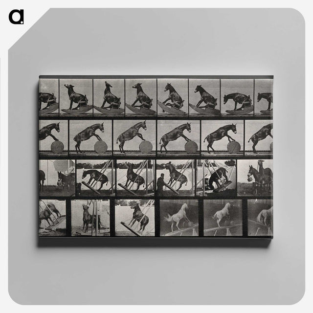 2-63_Eadweard-Muybridge_canvas
