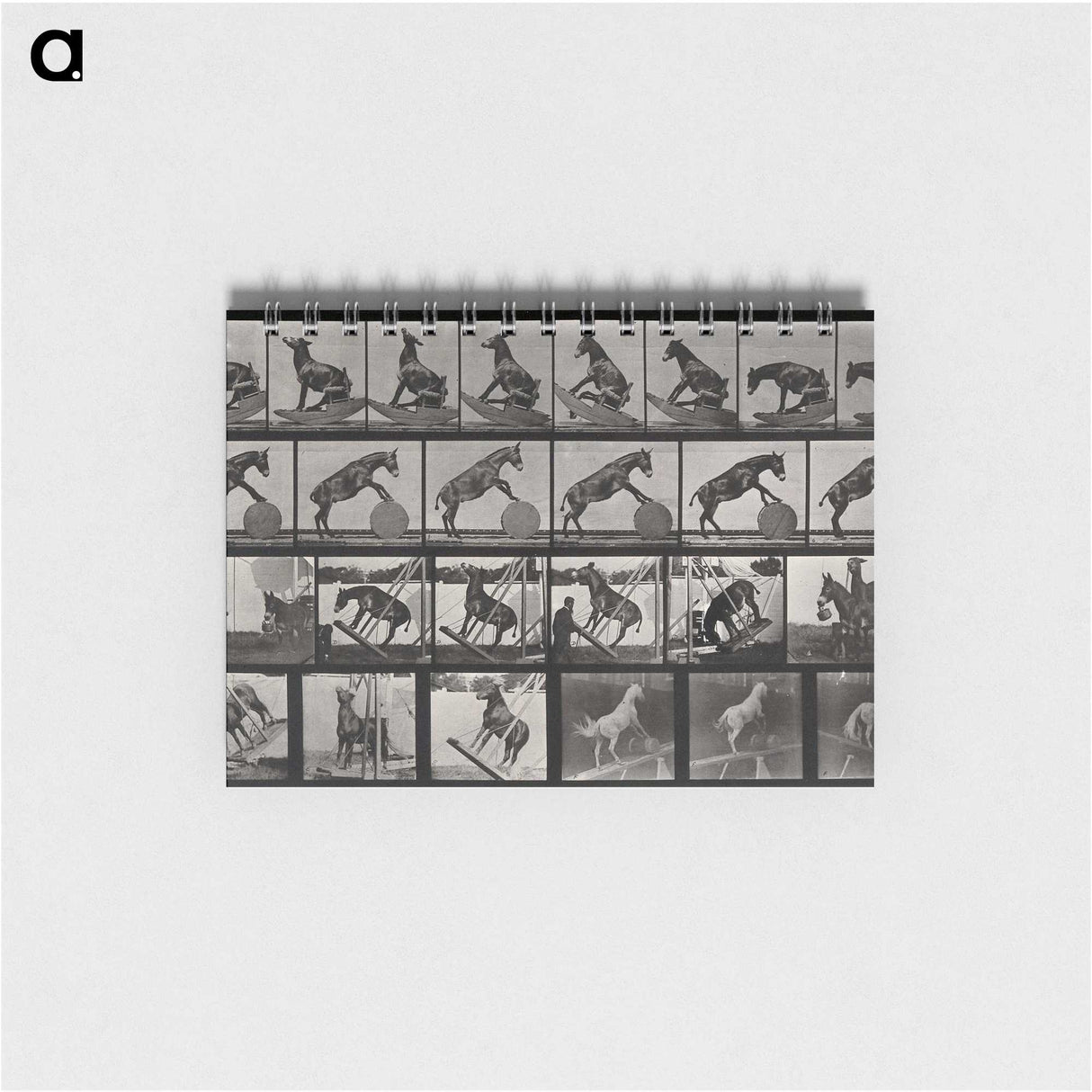 2-63_Eadweard-Muybridge_memo
