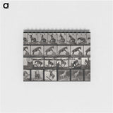 2-63_Eadweard-Muybridge_memo