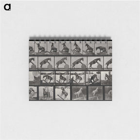 2-63_Eadweard-Muybridge_memo