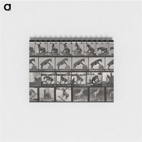 2-63_Eadweard-Muybridge_memo