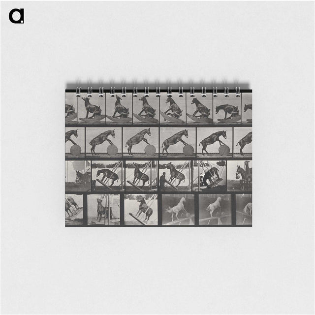 2-63_Eadweard-Muybridge_memo
