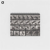 アートメモ帳-Circus Horse
 - エドワード マイブリッジ Memo.