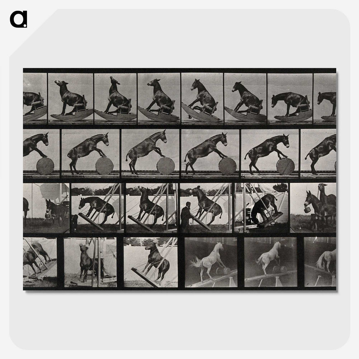 2-63_Eadweard-Muybridge_picture-crop