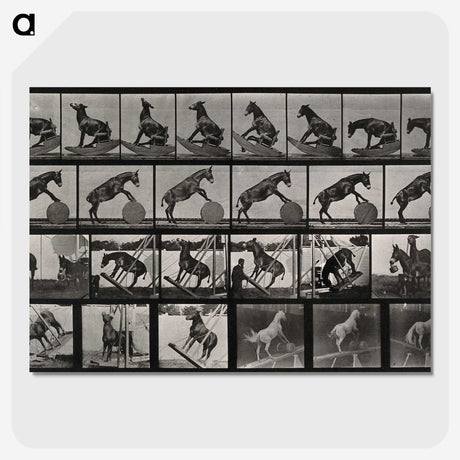 2-63_Eadweard-Muybridge_picture-crop
