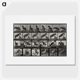 2-63_Eadweard-Muybridge_picture