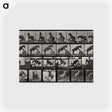 2-63_Eadweard-Muybridge_postcard
