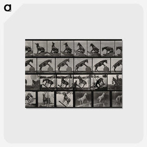 2-63_Eadweard-Muybridge_postcard