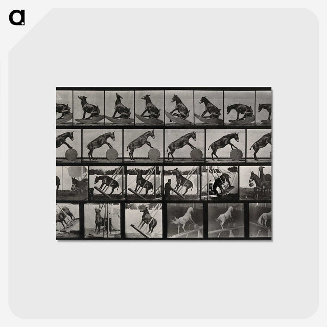 2-63_Eadweard-Muybridge_postcard