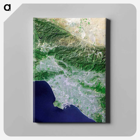 アートパネル-Los Angeles and Vicinity from Space
 - 上空からの地球 Canvas.