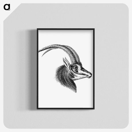 2-63_Ernst-Haeckel_blk-crop