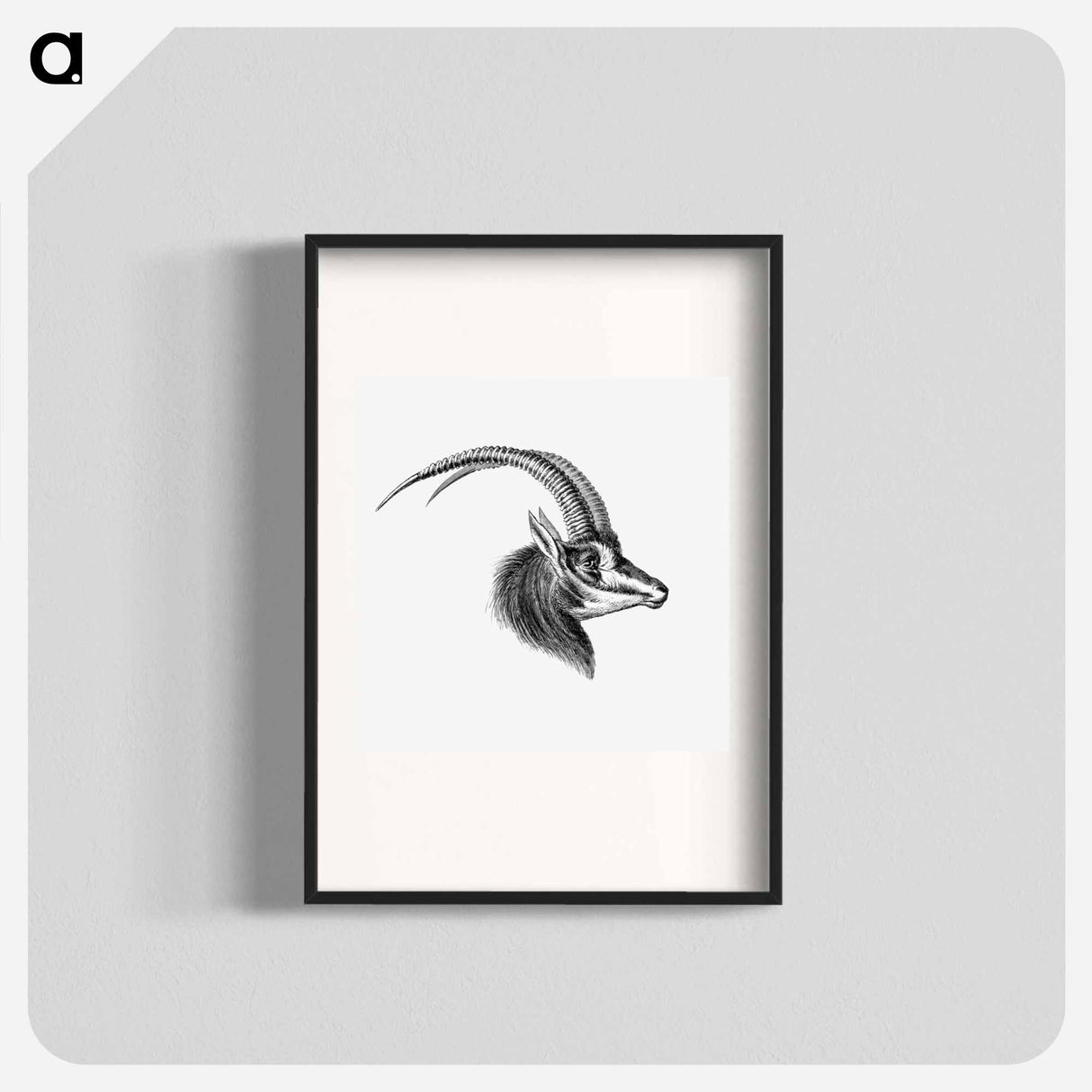 Vintage antelope wildlife illustration - エルンスト ヘッケル Poster.