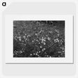 2-63_Frederick-Charles-Brockett_picture