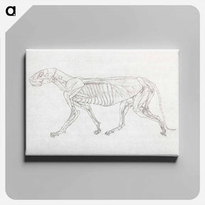 アートパネル-Tiger Body, Lateral View
 - ジョージ スタッブス Canvas.