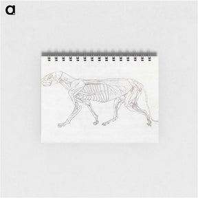 アートメモ帳-Tiger Body, Lateral View
 - ジョージ スタッブス Memo.