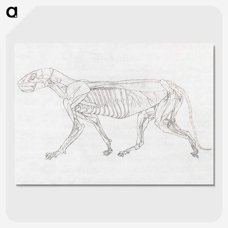2-63_George-Stubbs_picture-crop