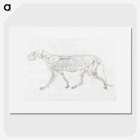 2-63_George-Stubbs_picture
