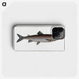 2-63_Ichtyologie-ou-Histoire-naturelle_phone