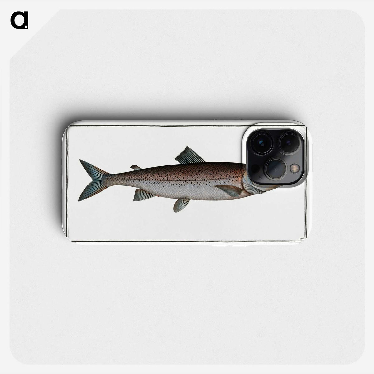 2-63_Ichtyologie-ou-Histoire-naturelle_phone