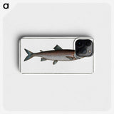 2-63_Ichtyologie-ou-Histoire-naturelle_phone