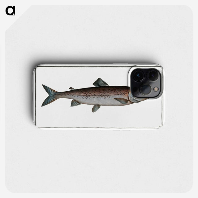 2-63_Ichtyologie-ou-Histoire-naturelle_phone